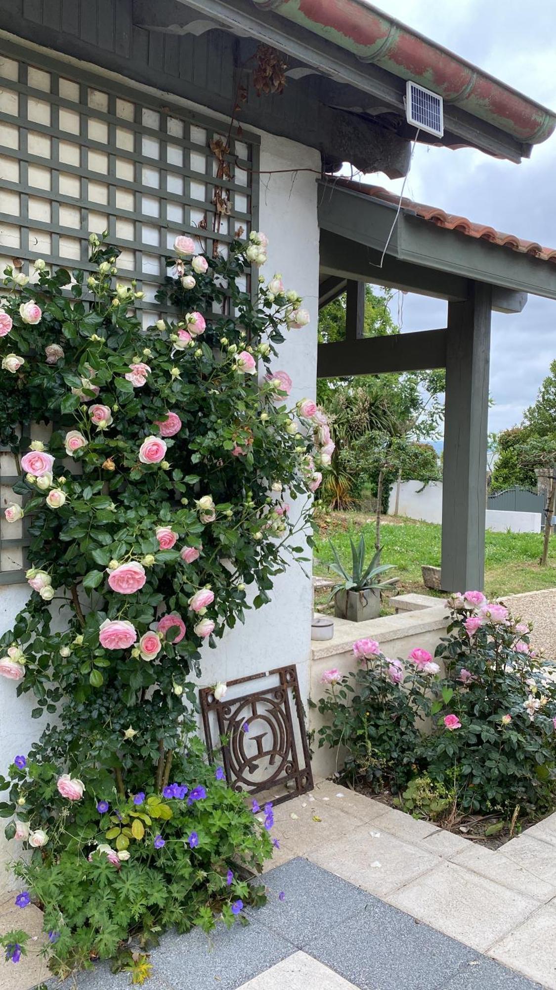 Ferienwohnung La Bastide De Guiche Entre Ocean Et Montagnes Exterior foto